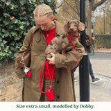 Immaculate Vegan - Tails & Bloom Rouge Dog Collar