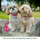 Immaculate Vegan - Tails & Bloom Raspberry Pink Dog Collar