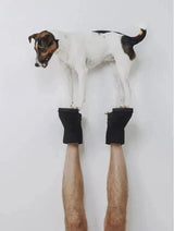 Immaculate Vegan - New Orchard Classic Unisex Vegan Faux Sheepskin Short Boots | Brown