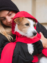 Immaculate Vegan - New Orchard Dog Hoodie Red