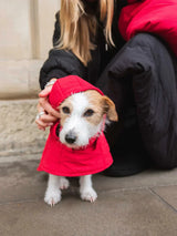 Immaculate Vegan - New Orchard Dog Hoodie Red