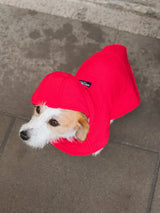 Immaculate Vegan - New Orchard Dog Hoodie Red