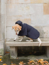 Immaculate Vegan - New Orchard Dog Hoodie Navy