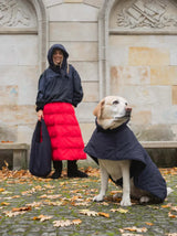 Immaculate Vegan - New Orchard Dog Hoodie Navy