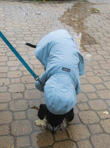 Immaculate Vegan - New Orchard Dog Hoodie Blue