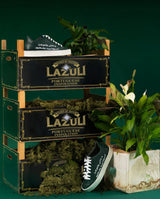 Immaculate Vegan - Lazuli My Vegan Leather Tennis Sneakers | Lignify