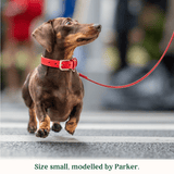 Immaculate Vegan - Tails & Bloom Rouge Dog Collar