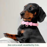 Immaculate Vegan - Tails & Bloom Bunny Pink Dog Collar