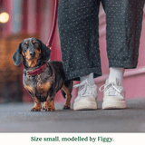 Immaculate Vegan - Tails & Bloom Mulberry Dog Collar