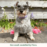Immaculate Vegan - Tails & Bloom Lavender Dog Collar