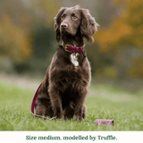 Immaculate Vegan - Tails & Bloom Mulberry Dog Collar
