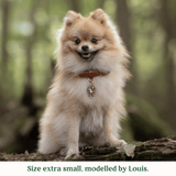 Immaculate Vegan - Tails & Bloom Hazelnut Dog Collar