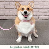 Immaculate Vegan - Tails & Bloom Bunny Pink Dog Collar