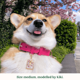 Immaculate Vegan - Tails & Bloom Raspberry Pink Dog Collar