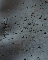 Immaculate Vegan - 242694145.jpg