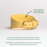 Immaculate Vegan - Tails & Bloom Primrose Hound Collar
