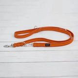 Immaculate Vegan - Oscar & Hooch Signature Range Dog Training Lead | Multiple Colours