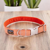 Immaculate Vegan - Oscar & Hooch Dog Collars - Eco SoftFit Range