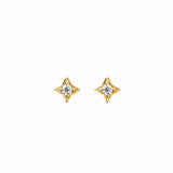 Immaculate Vegan - BLOOMTINE Illuminess™ Mini 14K Gold Vermeil Star Studs | Gold