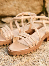 Immaculate Vegan - Minuit sur Terre Olmeto Or