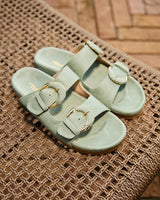 Immaculate Vegan - Minuit sur Terre Camélia Sauge