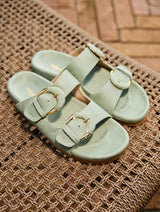 Immaculate Vegan - Minuit sur Terre Camélia Sauge