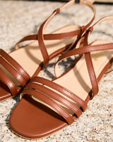 Immaculate Vegan - Minuit sur Terre Spelunca Camel