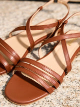 Immaculate Vegan - Minuit sur Terre Spelunca Camel