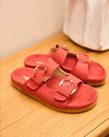 Immaculate Vegan - Minuit sur Terre Camélia Corail