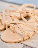 Immaculate Vegan - Minuit sur Terre Vizzavona Or