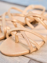 Immaculate Vegan - Minuit sur Terre Vizzavona Or