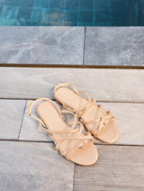 Immaculate Vegan - Minuit sur Terre Vizzavona Or