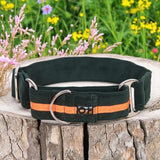 Immaculate Vegan - Oscar & Hooch Martingale Range Dog Collar | Multiple Colours