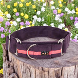 Immaculate Vegan - Oscar & Hooch Martingale Range Dog Collar | Multiple Colours
