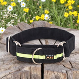 Immaculate Vegan - Oscar & Hooch Martingale Range Dog Collar | Multiple Colours