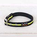 Immaculate Vegan - Oscar & Hooch Dog Collars - Neon Range