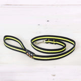 Immaculate Vegan - Oscar & Hooch Neon Range Dog Lead | Multiple Colours