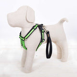 Immaculate Vegan - Oscar & Hooch Dog Harnesses - Signature Range