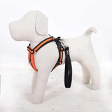 Immaculate Vegan - Oscar & Hooch Signature Range Dog Harness | Multiple Colours