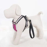Immaculate Vegan - Oscar & Hooch Signature Range Dog Harness | Multiple Colours