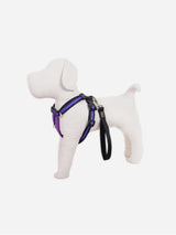 Immaculate Vegan - Oscar & Hooch Signature Range Dog Harness | Multiple Colours