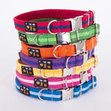 Immaculate Vegan - Oscar & Hooch Signature Snap Dog Collar | Multiple Colours