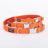 Immaculate Vegan - Oscar & Hooch Signature Snap Dog Collar | Multiple Colours Clementine / S