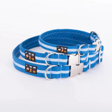 Immaculate Vegan - Oscar & Hooch Signature Snap Dog Collar | Multiple Colours Royal Blue / S
