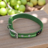 Immaculate Vegan - Oscar & Hooch Signature Range Dog Collar | Multiple Colours