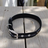 Immaculate Vegan - Oscar & Hooch Signature Range Dog Collar | Multiple Colours