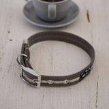 Immaculate Vegan - Oscar & Hooch Signature Range Dog Collar | Multiple Colours