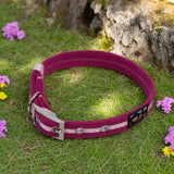 Immaculate Vegan - Oscar & Hooch Signature Range Dog Collar | Multiple Colours
