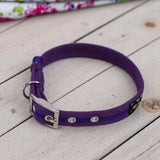 Immaculate Vegan - Oscar & Hooch Signature Range Dog Collar | Multiple Colours
