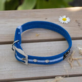 Immaculate Vegan - Oscar & Hooch Signature Range Dog Collar | Multiple Colours